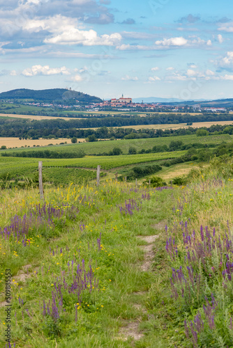 Palava landscape near Dolni Dunajovice, Southern Moravia, Czech Republic photo