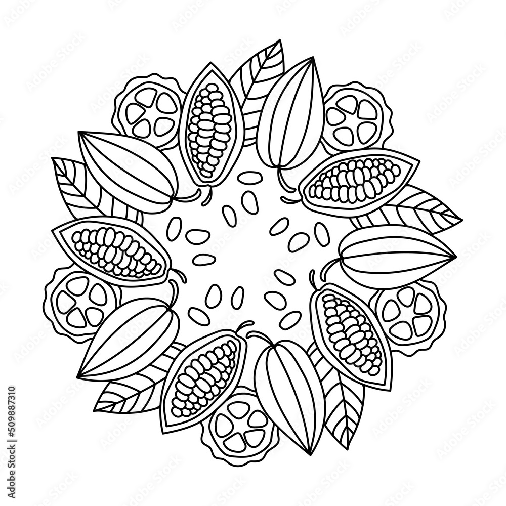 Cocoa beans . Coloring book page. Fruits, flowers of the chocolate tree ...
