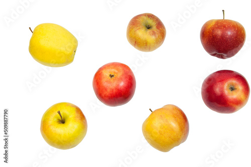 red and yellow apples on a white background. the concept of making apple juice. healthy food illustration. juicy sweet fruits on the table. many big apples on a light texture.