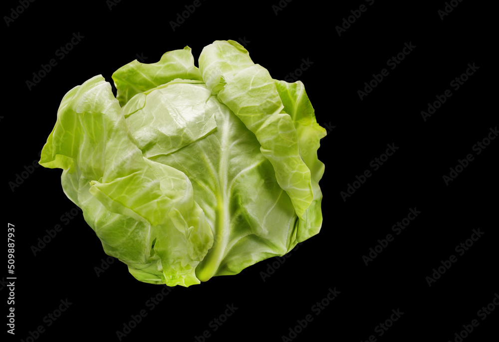 young green cabbage is healthy and rich in vitamins on a black background young green cabbage is healthy and rich in vitamins on a black background