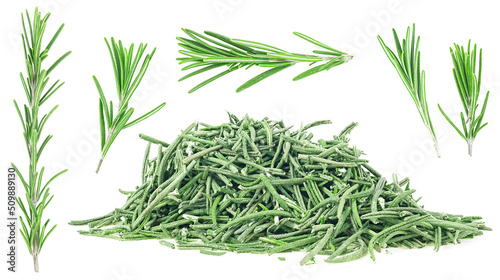 Rosemary herb collection - pile of rosemary leaves and branches isolated on a white background.