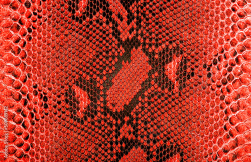 Photography Reticulated python skin as background. Red snake skin.
