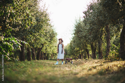 Girl with Apple in the Apple Orchard. Beautiful Girl Eating Organic Apple in the Orchard. Harvest Concept. Garden, Toddler eating fruits at fall harvest.