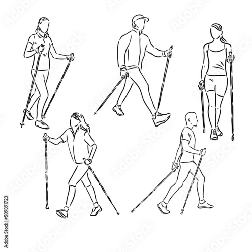 Continuous line drawing. A young woman walks on foot with walking sticks. Nordic walking, vector sketch illustration