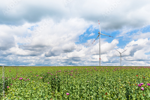 Two wind turbines behind a poppies field