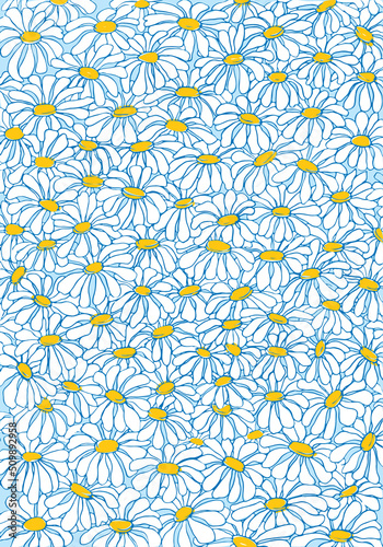 Daisies background Hand drawn pattern with daisy flowers