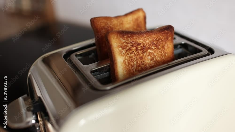 Roasted bread in white toaster. two delicious and toaster toasts. the process of frying toasts. Roasted bread in white toaster. two delicious and toaster toasts. the process of frying toasts.
