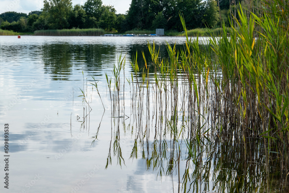 Der Tankumsee ist ein künstlich geschaffener See in Isenbüttel im Landkreis Gifhorn. Er entstand um 1970 als Baggersee beim Bau des Elbe-Seitenkanals und wurde 1976 als Badesee eingeweiht. Der Tankumsee ist ein künstlich geschaffener See in Isenbüttel im Landkreis Gifhorn. Er entstand um 1970 als Baggersee beim Bau des Elbe-Seitenkanals und wurde 1976 als Badesee eingeweiht.