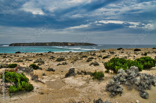 The desolate coast, with sparse vegetation, of Avoid Bay, with a view of Avoid Bay Island, Coffin Bay National Park, Eyre Peninsula, South Australia
