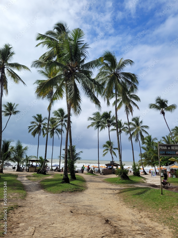 Beautiful paradisiacal and deserted beach with coconut trees at the entrance