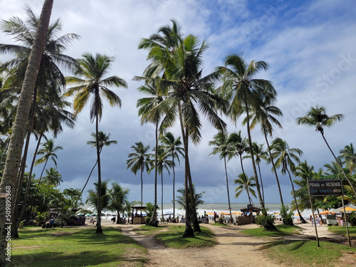 Beautiful paradisiacal and deserted beach with coconut trees at the entrance