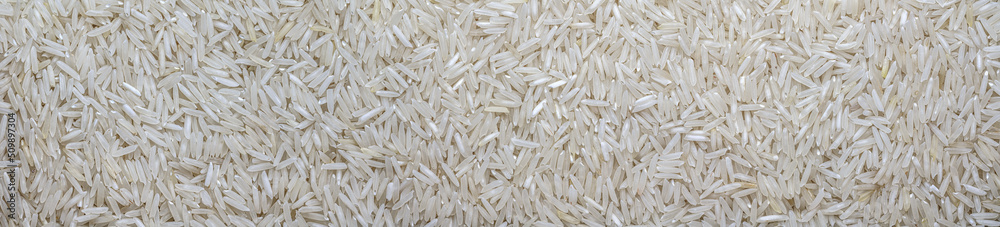 panoramic white long rice background texture. rice grains close-up. panoramic white long rice background texture. rice grains close-up.