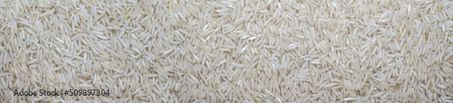 panoramic white long rice background texture. rice grains close-up.