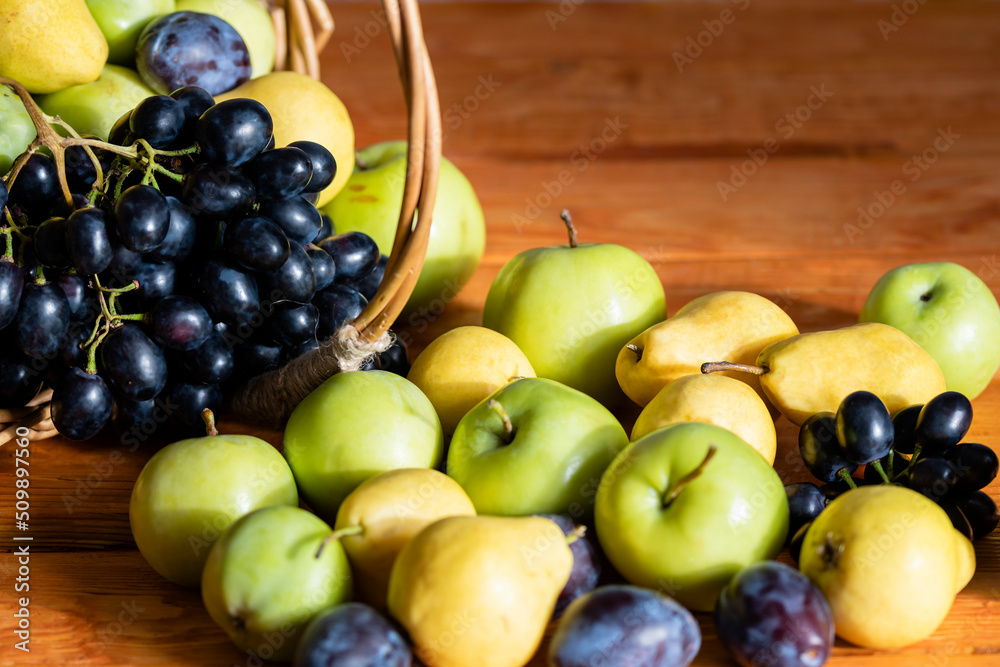 Basket with ripe fruits: apples, pears, grapes, plums selective focus Basket with ripe fruits: apples, pears, grapes, plums selective focus