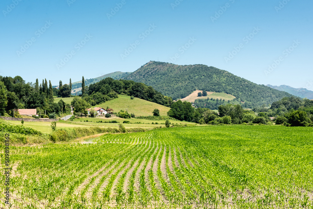 Farm and farmland on a foothill in the French Pyrenees.