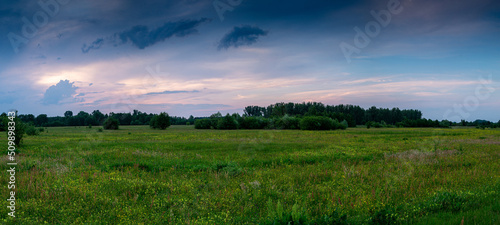 landscape of rural meadows panorama