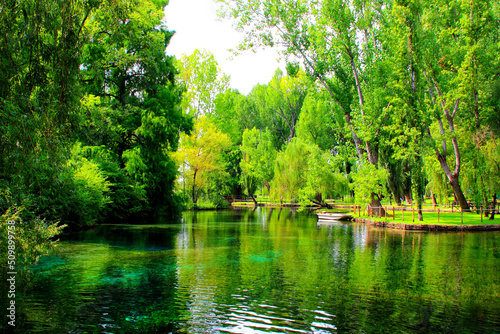Cuadro en lienzo Romantic scene in Le Fonti del Clitunno with massive green trees overhanging a c