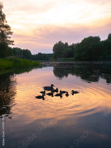 sunset on the lake