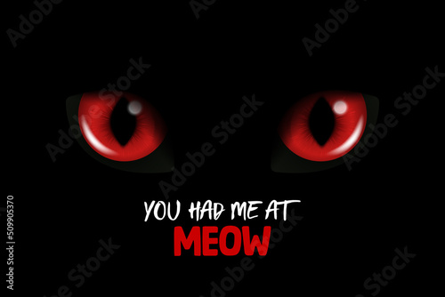 You Had Me At Meow. Vector 3d Realistic Red Cats Eye of a Black Cat. Cat Look in the Dark Black Background Closeup. Glowing Cat Eyes