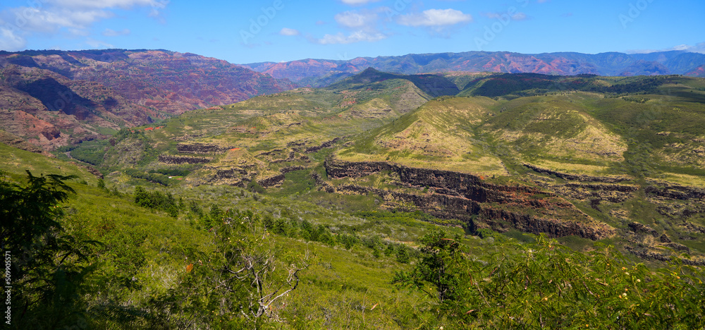 Obraz premium Waimea Canyon 
