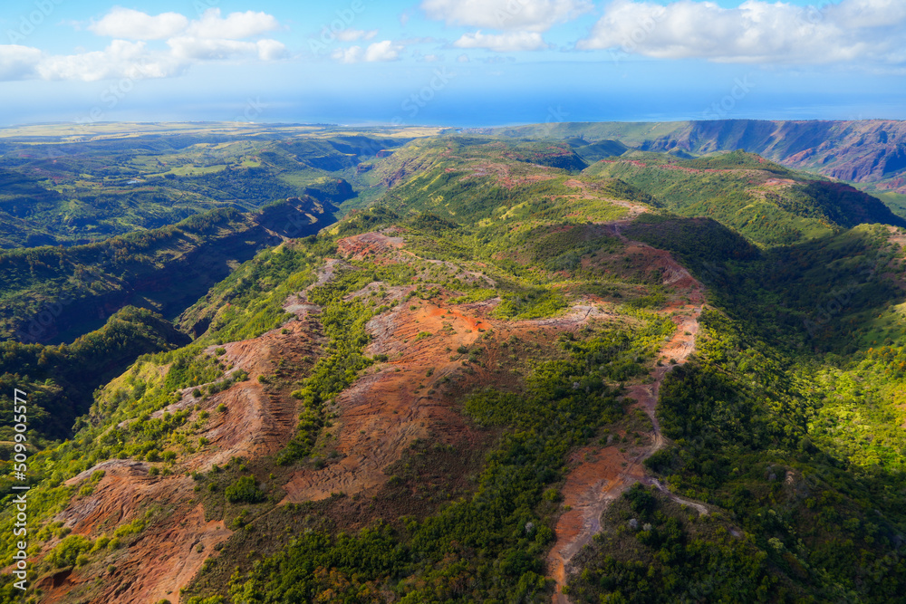 Aerial view of Waimea Canyon 