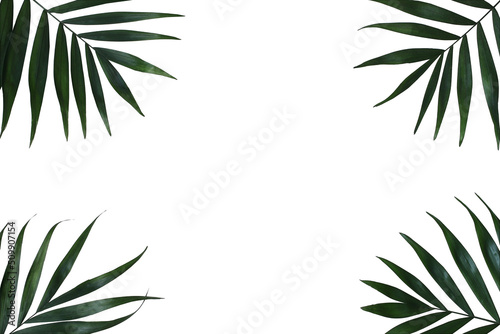 Tropical Palms Leaves Frame © tabitazn
