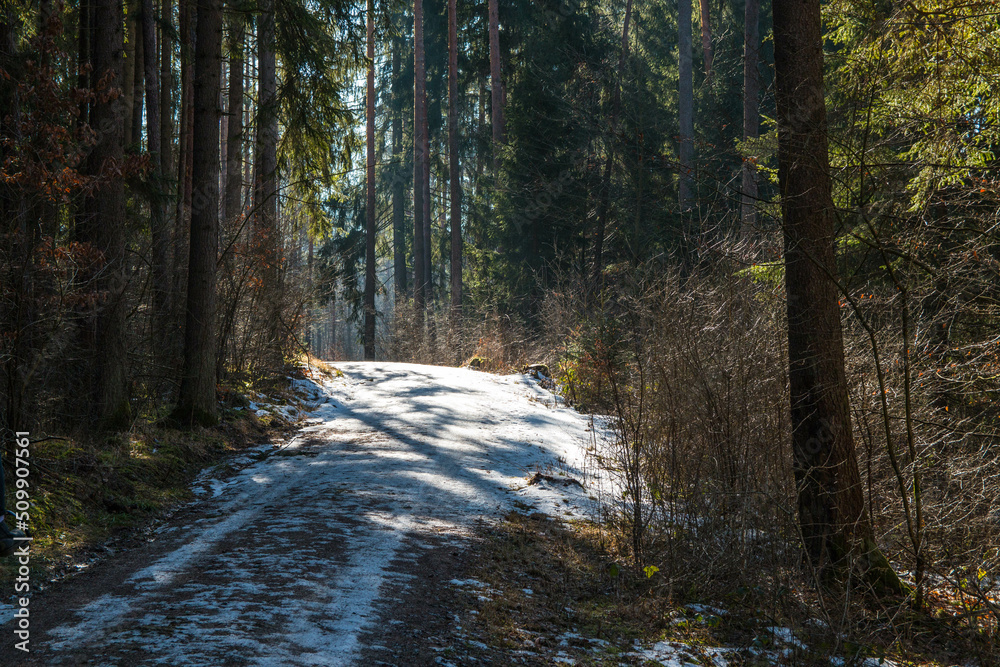 Fototapeta premium Winter schnee wald weg