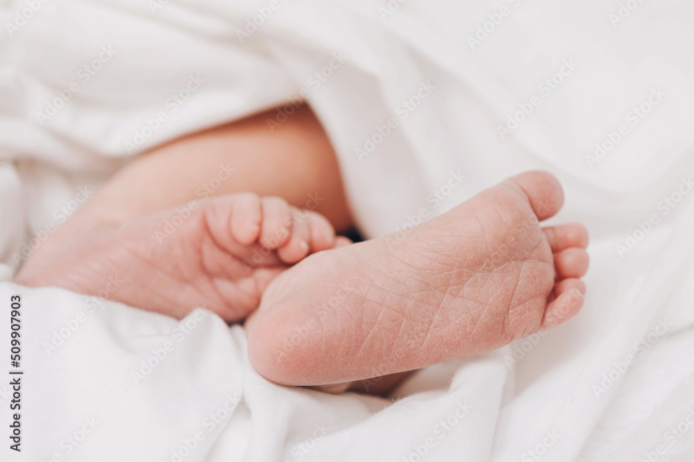 The legs of a newborn baby are wrapped in soft white blanket. Selective soft focus, close-up The legs of a newborn baby are wrapped in soft white blanket. Selective soft focus, close-up