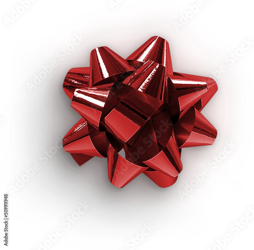 Photography Gift Ribbon Bow