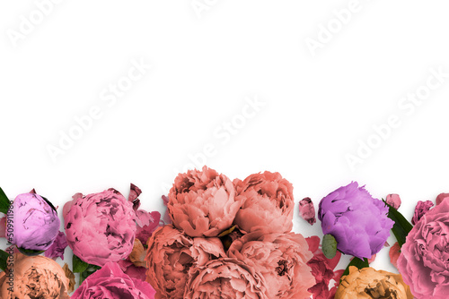Fototapeta Naklejka Na Ścianę i Meble -  Peonies Floral Frame