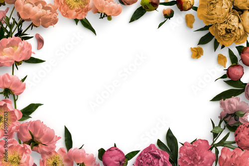 Fototapeta Naklejka Na Ścianę i Meble -  Peonies Floral Frame