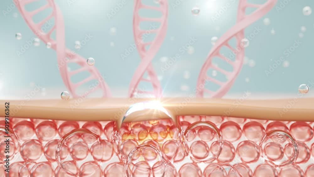 Animation serum molecule through the skin layer and reduce up saggy skin of the skin cell. Serum for lightening Dark skin tone changed to bright and repair wrinkles.	