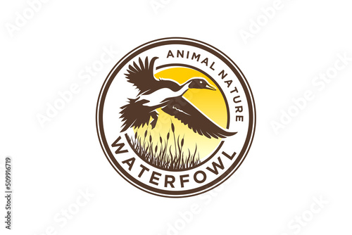 Waterfowl mallard logo design water bird fly grass wings, duck swan river lake