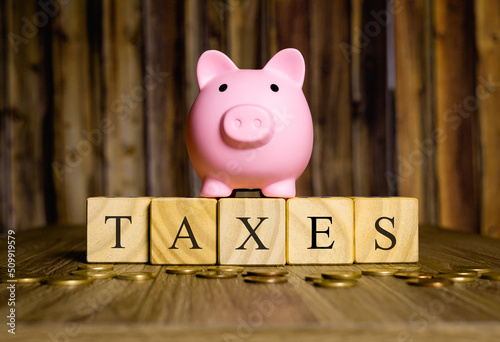 The word taxes written in the English language on wooden cubes. A piggy bank and some coins in the image composition. Paying and saving taxes concept.
 photo