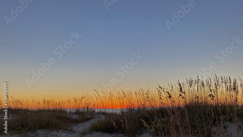 beach sunrise through dunes