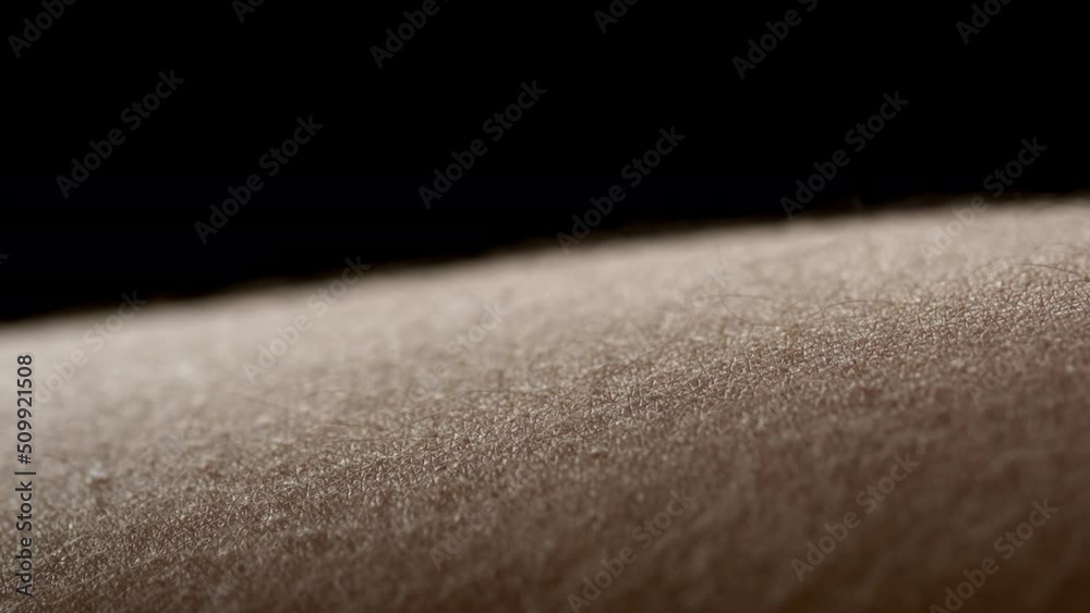 Macro shot of young African American woman's skin on black background | Skin texture shot for woman hair removal concept Macro shot of young African American woman's skin on black background | Skin texture shot for woman hair removal concept