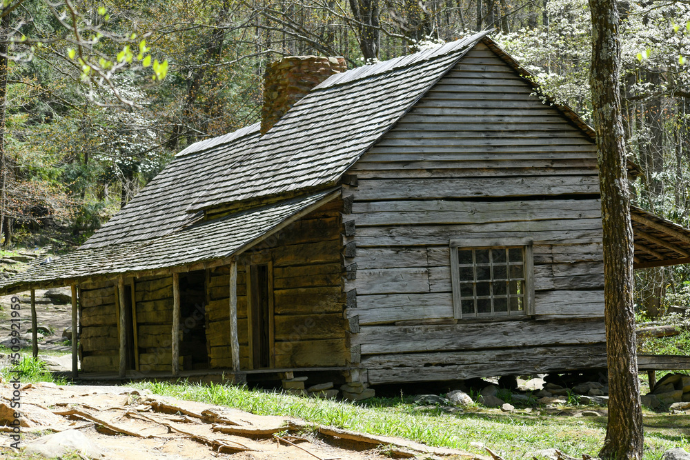 Bud Ogle Cabin in the Great Smoky Mountains Bud Ogle Cabin in the Great Smoky Mountains
