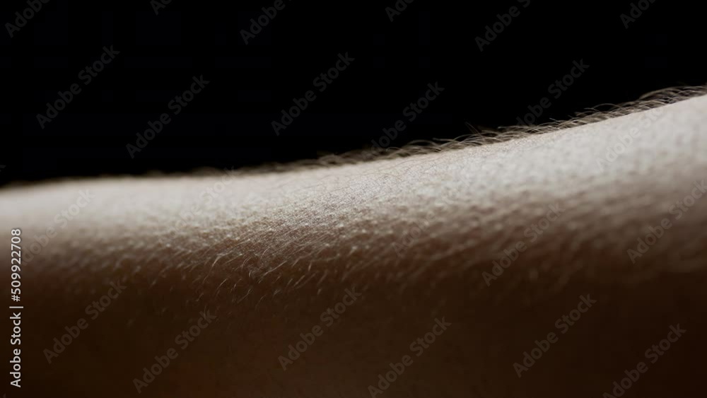 Macro shot of young African American woman's hairy skin on black background | Skin texture shot for woman razor commercial Macro shot of young African American woman's hairy skin on black background | Skin texture shot for woman razor commercial
