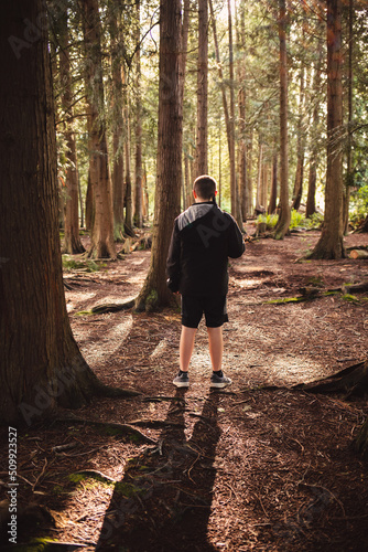 back of boy standing in the forest 