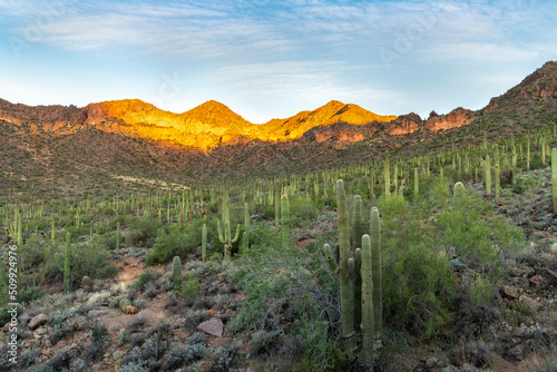 Landscape Photograph taken at Usery Mountain Park in Arizona