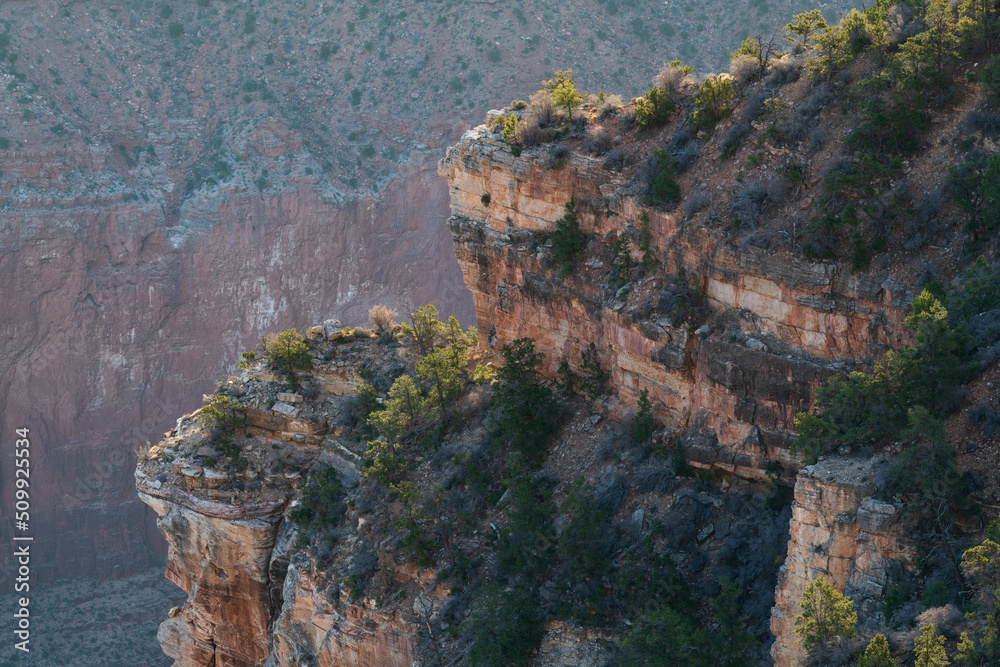 Landscape photograph of a trees on a cliff from Yavapai Point at the Grand Canyon
