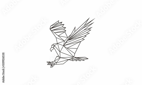 eagle geometri