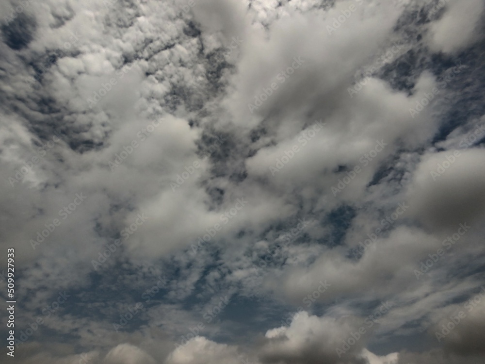 Obraz premium 東京のそら(22.6.10)