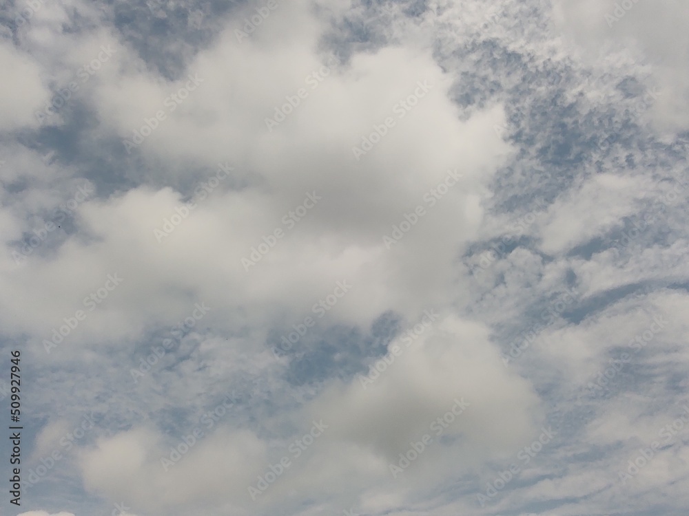 Fototapeta premium 東京のそら(22.6.10)