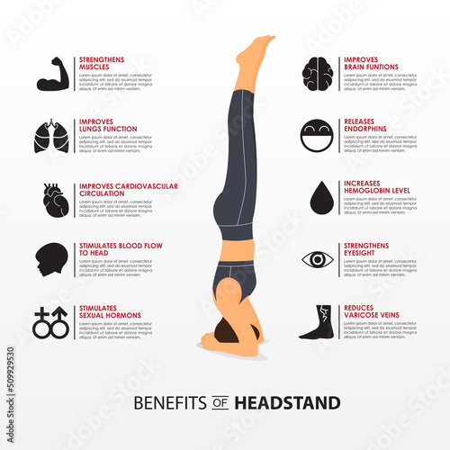 Benefits of yoga or asana infographics. Woman doing exercise or workout in headstand yoga pose surrounded by internal organs icon in flat design. Yoga posture for fitness infographic.