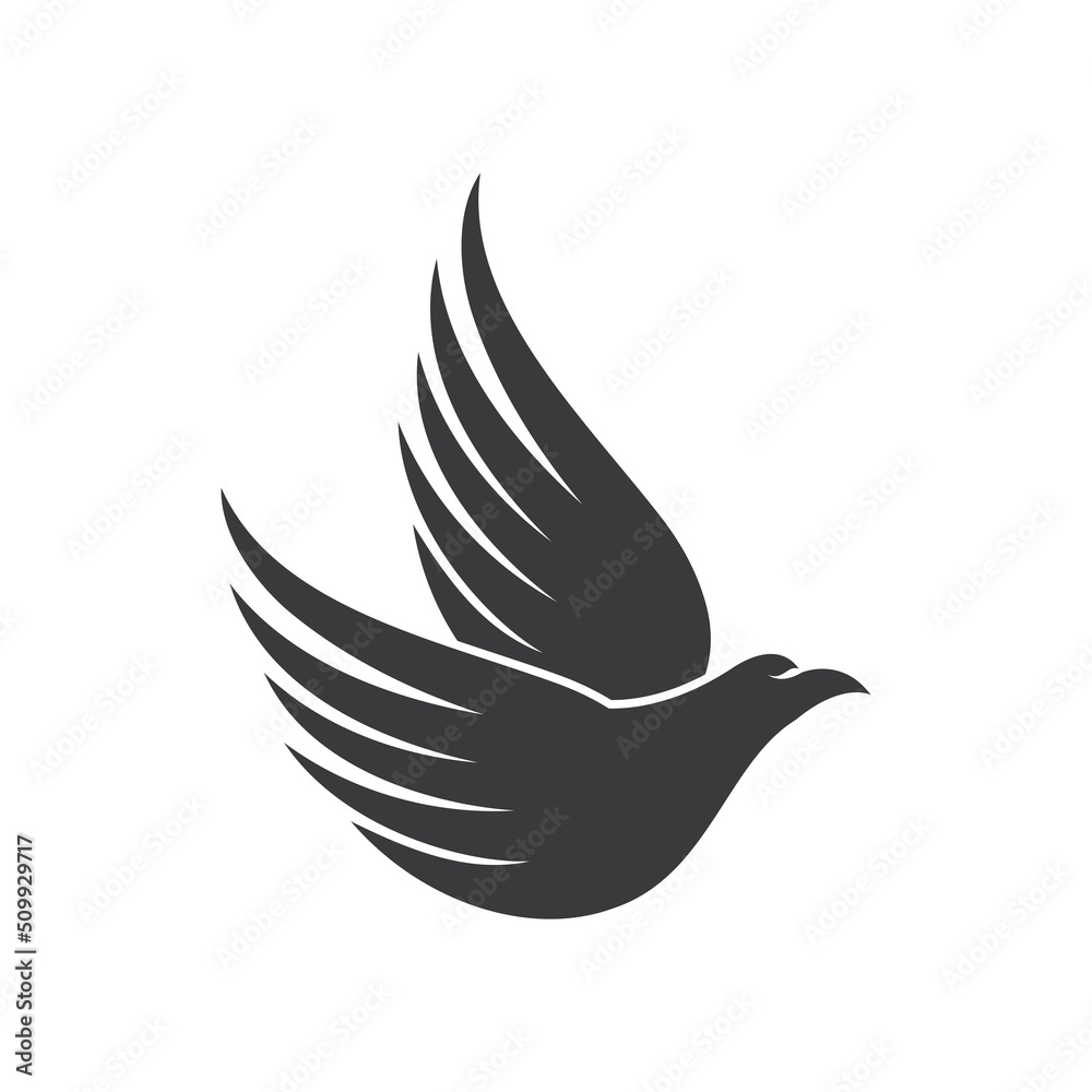Falcon eagle bird Falcon eagle bird