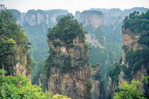 Avatar Hallelujah mountain in Wulingyuan National Forest Park, Zhangjiajie, Hunan, China, horizontal image with copy space for text, background