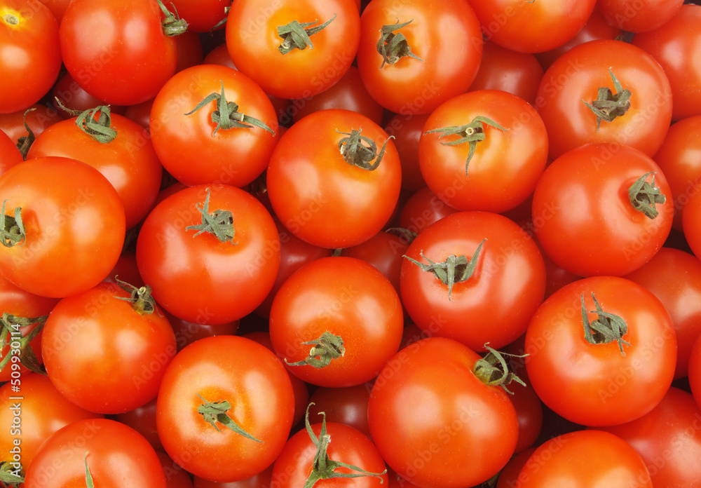 Tomatoes background. Many ripe tomatoes as pattern. Tomatoes background. Many ripe tomatoes as pattern.