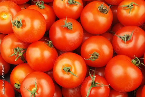 Many red ripe tomatoes as background.