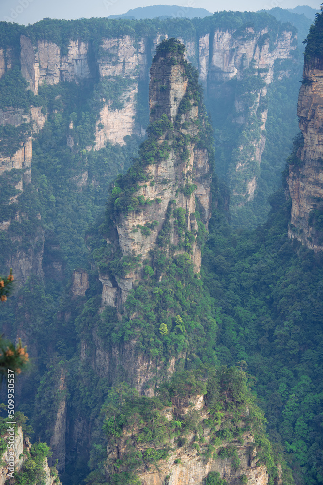 Vertical background image of the limestone rocks covered with forest of Wulingyuan National forest park in Zhangjiajie, Hunan, China. An inspiration for the Avatar movie, copy space for text